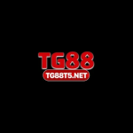lehoangvi7258819
