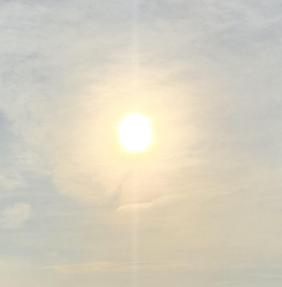 Sunhost