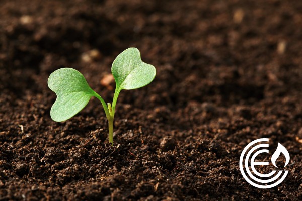 CCE Spirituality of the Earth