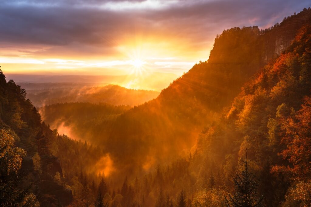 Mountains and tree range during golden hour